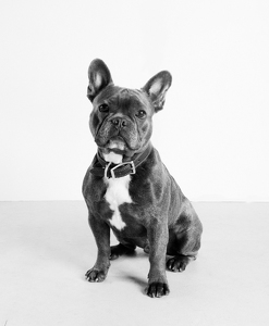 Fundraising Page: Maverick Duckham-Roberts